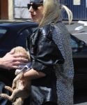 lady-gaga_28229.jpg