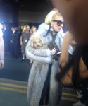 ladygaga_281029.jpg