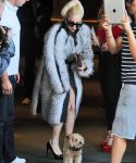 ladygaga_281429.jpg