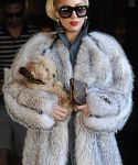 ladygaga_281529.jpg