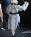 ladygaga_281629.jpg