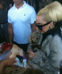 ladygaga_28729.jpg