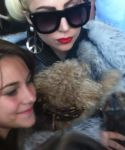 ladygaga_28829.jpg
