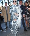 gaga_281329.jpg