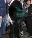 Filename=g_286829.jpg
Filesize=1011KiB
Dimensions=1872x3000
Date added=Dec 19, 2017 g_286829.jpg