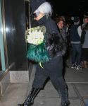 gaga_282729.jpg