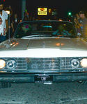gaga_2821829.JPG