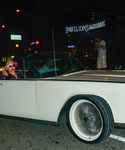 gaga_2822029.JPG