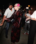 gaga_2824729.jpg