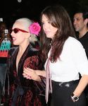 gaga_2828029.jpg