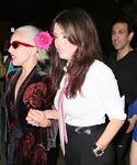 gaga_2828129.jpg