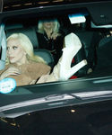 gaga_282229.jpg