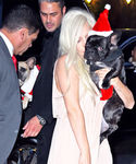 Filename=ggg_284329.jpg
Filesize=1221KiB
Dimensions=1996x3000
Date added=Dec 12, 2015 ggg_284329.jpg