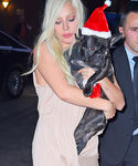 Filename=ggg_284529.jpg
Filesize=770KiB
Dimensions=1995x3000
Date added=Dec 12, 2015 ggg_284529.jpg