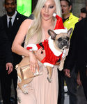 Filename=gaga_2810029.jpg
Filesize=277KiB
Dimensions=948x1423
Date added=Dec 12, 2015 gaga_2810029.jpg