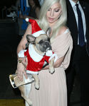 Filename=gaga_281029.jpg
Filesize=1055KiB
Dimensions=2708x3992
Date added=Dec 12, 2015 gaga_281029.jpg