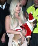 Filename=gaga_281129.JPG
Filesize=835KiB
Dimensions=2100x2741
Date added=Dec 12, 2015 gaga_281129.JPG