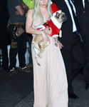 Filename=gaga_2811329.jpg
Filesize=497KiB
Dimensions=1822x3000
Date added=Dec 12, 2015 gaga_2811329.jpg