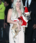 Filename=gaga_2811429.jpg
Filesize=610KiB
Dimensions=1968x3000
Date added=Dec 12, 2015 gaga_2811429.jpg