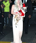 Filename=gaga_2811529.jpg
Filesize=641KiB
Dimensions=2005x3000
Date added=Dec 12, 2015 gaga_2811529.jpg