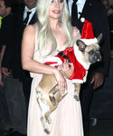 Filename=gaga_2811629.jpg
Filesize=500KiB
Dimensions=1950x3000
Date added=Dec 12, 2015 gaga_2811629.jpg