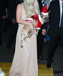 Filename=gaga_2811929.jpg
Filesize=607KiB
Dimensions=1869x3000
Date added=Dec 12, 2015 gaga_2811929.jpg