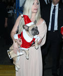 Filename=gaga_2812029.jpg
Filesize=596KiB
Dimensions=2061x3000
Date added=Dec 12, 2015 gaga_2812029.jpg