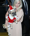 Filename=gaga_2812129.jpg
Filesize=630KiB
Dimensions=2055x3000
Date added=Dec 12, 2015 gaga_2812129.jpg