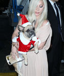 Filename=gaga_2812229.jpg
Filesize=721KiB
Dimensions=2068x3000
Date added=Dec 12, 2015 gaga_2812229.jpg