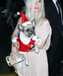 Filename=gaga_2812329.jpg
Filesize=654KiB
Dimensions=1923x3000
Date added=Dec 12, 2015 gaga_2812329.jpg