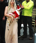 Filename=gaga_2812429.JPG
Filesize=1624KiB
Dimensions=2251x4069
Date added=Dec 12, 2015 gaga_2812429.JPG