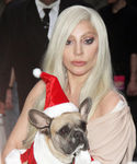 Filename=gaga_2812529.JPG
Filesize=762KiB
Dimensions=2112x2544
Date added=Dec 12, 2015 gaga_2812529.JPG