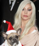 Filename=gaga_2812629.JPG
Filesize=1108KiB
Dimensions=2532x3432
Date added=Dec 12, 2015 gaga_2812629.JPG
