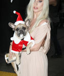 Filename=gaga_2812729.JPG
Filesize=1641KiB
Dimensions=2964x4872
Date added=Dec 12, 2015 gaga_2812729.JPG