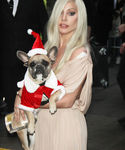 Filename=gaga_2812829.JPG
Filesize=1541KiB
Dimensions=2808x4164
Date added=Dec 12, 2015 gaga_2812829.JPG