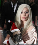 Filename=gaga_28129.jpg
Filesize=1106KiB
Dimensions=2508x3036
Date added=Dec 12, 2015 gaga_28129.jpg
