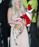 Filename=gaga_2813129.JPG
Filesize=423KiB
Dimensions=1728x2826
Date added=Dec 12, 2015 gaga_2813129.JPG