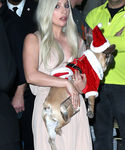 Filename=gaga_281329.JPG
Filesize=816KiB
Dimensions=2100x3080
Date added=Dec 12, 2015 gaga_281329.JPG
