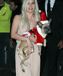 Filename=gaga_2813429.JPG
Filesize=571KiB
Dimensions=2016x3073
Date added=Dec 12, 2015 gaga_2813429.JPG