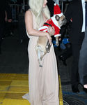 Filename=gaga_2813629.JPG
Filesize=1076KiB
Dimensions=2703x4214
Date added=Dec 12, 2015 gaga_2813629.JPG