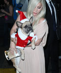 Filename=gaga_2813829.JPG
Filesize=1234KiB
Dimensions=2791x4101
Date added=Dec 12, 2015 gaga_2813829.JPG