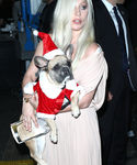 Filename=gaga_2813929.JPG
Filesize=1609KiB
Dimensions=2982x4427
Date added=Dec 12, 2015 gaga_2813929.JPG