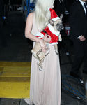 gaga_2814029.JPG