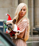 Filename=gaga_2814229.jpg
Filesize=1146KiB
Dimensions=2400x2894
Date added=Dec 12, 2015 gaga_2814229.jpg