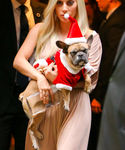 Filename=gaga_2814429.jpg
Filesize=1268KiB
Dimensions=2400x3600
Date added=Dec 12, 2015 gaga_2814429.jpg