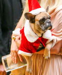 Filename=gaga_2814629.jpg
Filesize=1160KiB
Dimensions=2400x3600
Date added=Dec 12, 2015 gaga_2814629.jpg