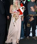 Filename=gaga_2815129.jpg
Filesize=1150KiB
Dimensions=3022x4429
Date added=Dec 12, 2015 gaga_2815129.jpg