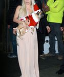 Filename=gaga_2815529.jpg
Filesize=1261KiB
Dimensions=3252x5066
Date added=Dec 12, 2015 gaga_2815529.jpg