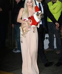 Filename=gaga_2815629.jpg
Filesize=1134KiB
Dimensions=3648x4998
Date added=Dec 12, 2015 gaga_2815629.jpg