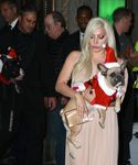 Filename=gaga_2815929.jpg
Filesize=766KiB
Dimensions=3134x3534
Date added=Dec 12, 2015 gaga_2815929.jpg